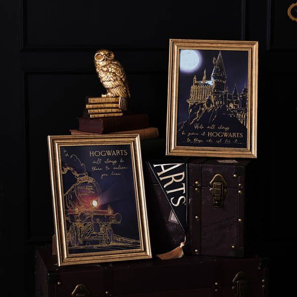 Harry Potter Alumni Wall Art Set of 2 Hogwarts Express GOODS Superdrug   