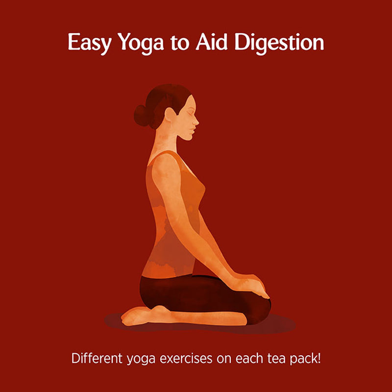 Organic Ayurvedic Herbal Digestion Tea 17 Tea Bags