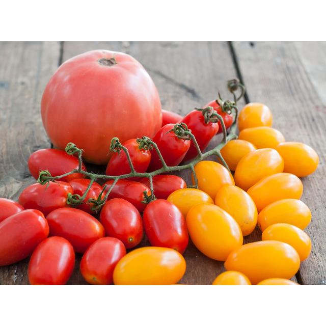 Natoora Seasonal Tomato Selection   600g GOODS M&S   