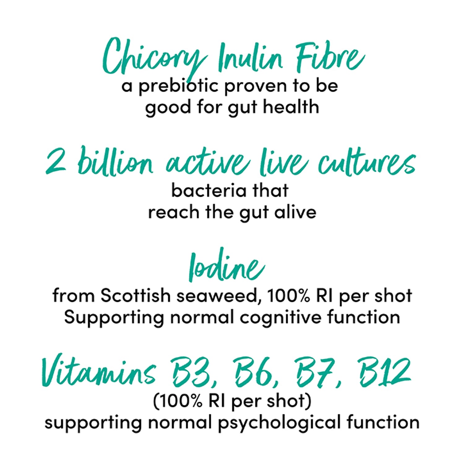 Berry Flavoured Gut and Brain Kombucha Health Shot 60ml