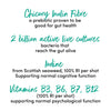 Berry Flavoured Gut and Brain Kombucha Health Shot 60ml