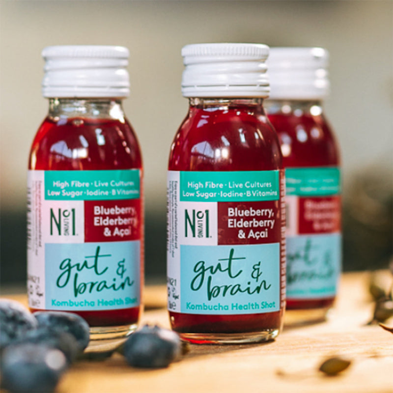 Berry Flavoured Gut and Brain Kombucha Health Shot 60ml