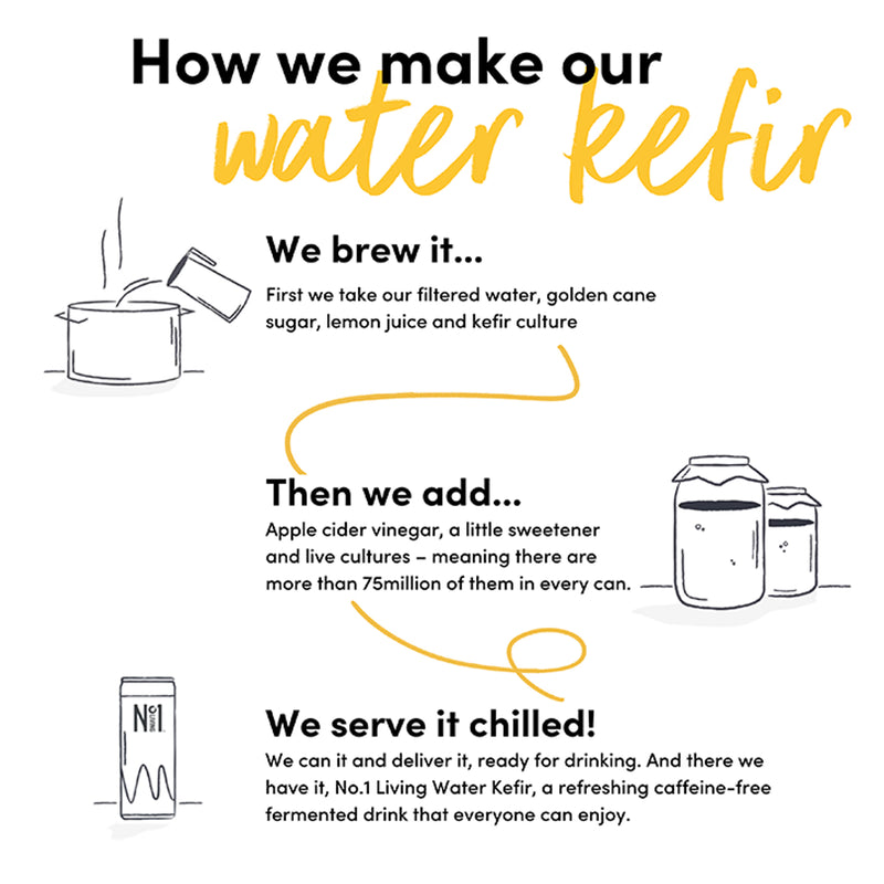 Sugar-Free Strawberry and Rhubarb Water Kefir with Live Cultures 330ml