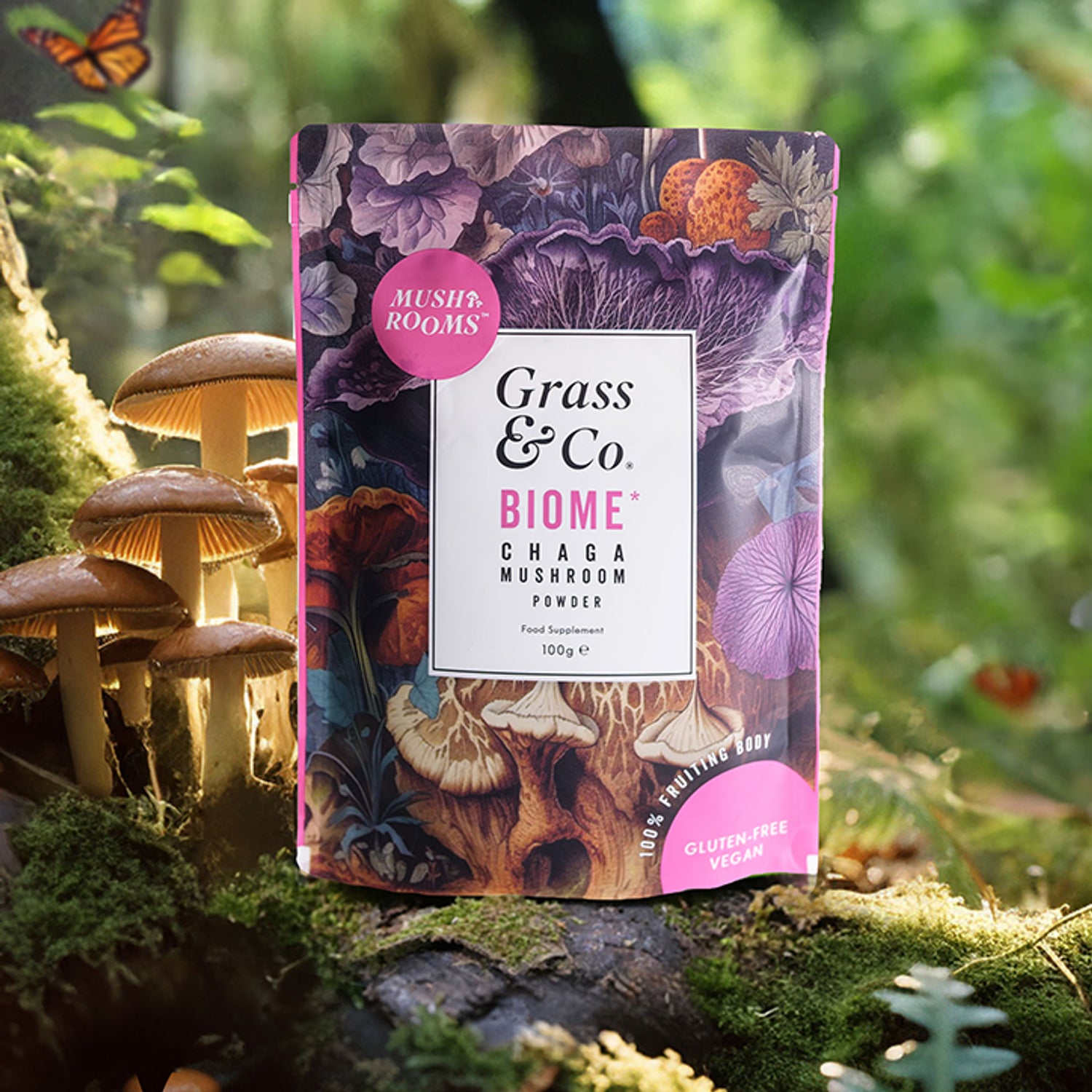 Chaga Mushroom Powder with Turmeric and Ginger 100g