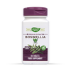 Boswellia Serrata Tree Resin Joint Support 60 Tablets