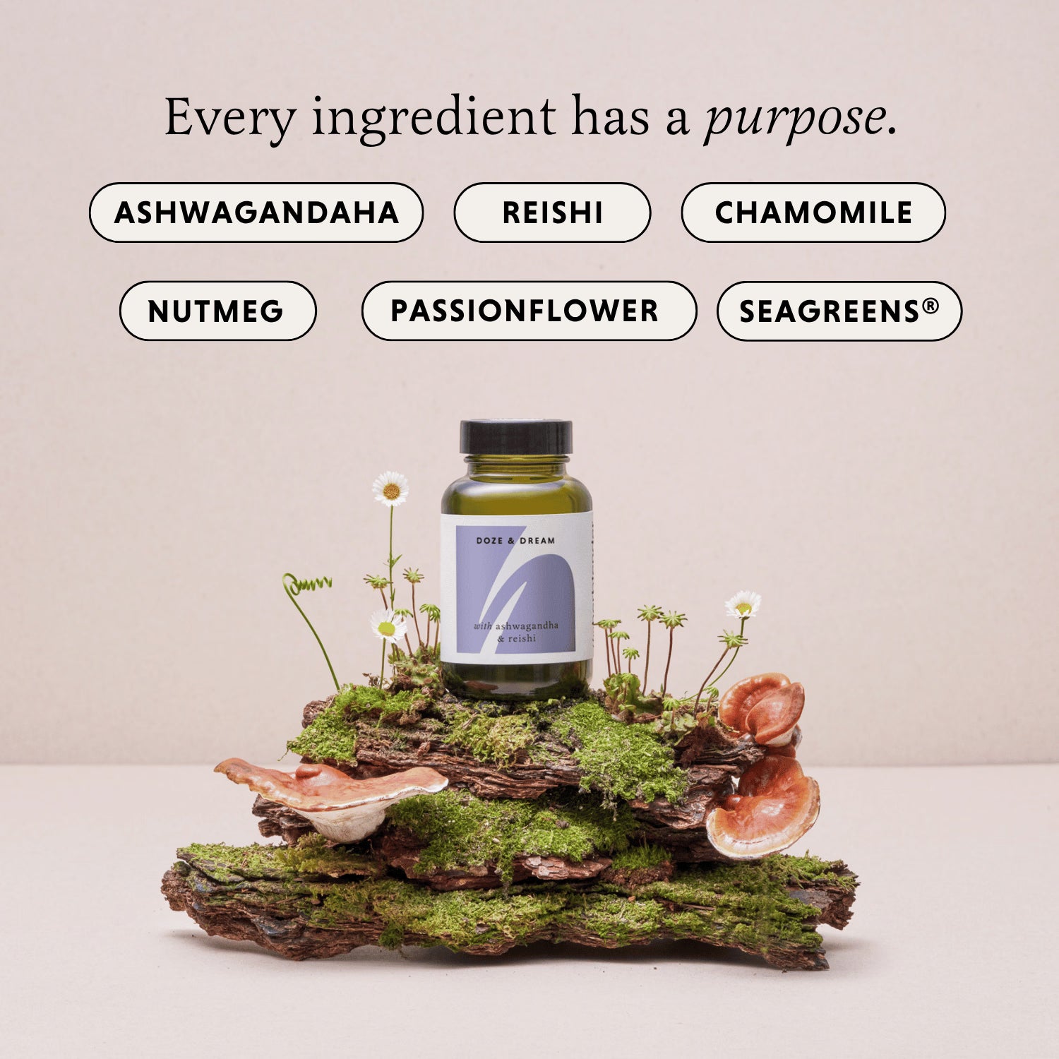 Restful Sleep Supplement with Reishi and Ashwagandha 60 Vegan Capsules