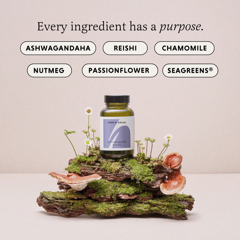 Restful Sleep Supplement with Reishi and Ashwagandha 60 Vegan Capsules