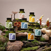 Restful Sleep Supplement with Reishi and Ashwagandha 60 Vegan Capsules