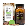 Lion's Mane Mushroom Focus Capsules with Ginseng & Omega-3 60 Vegan Capsules
