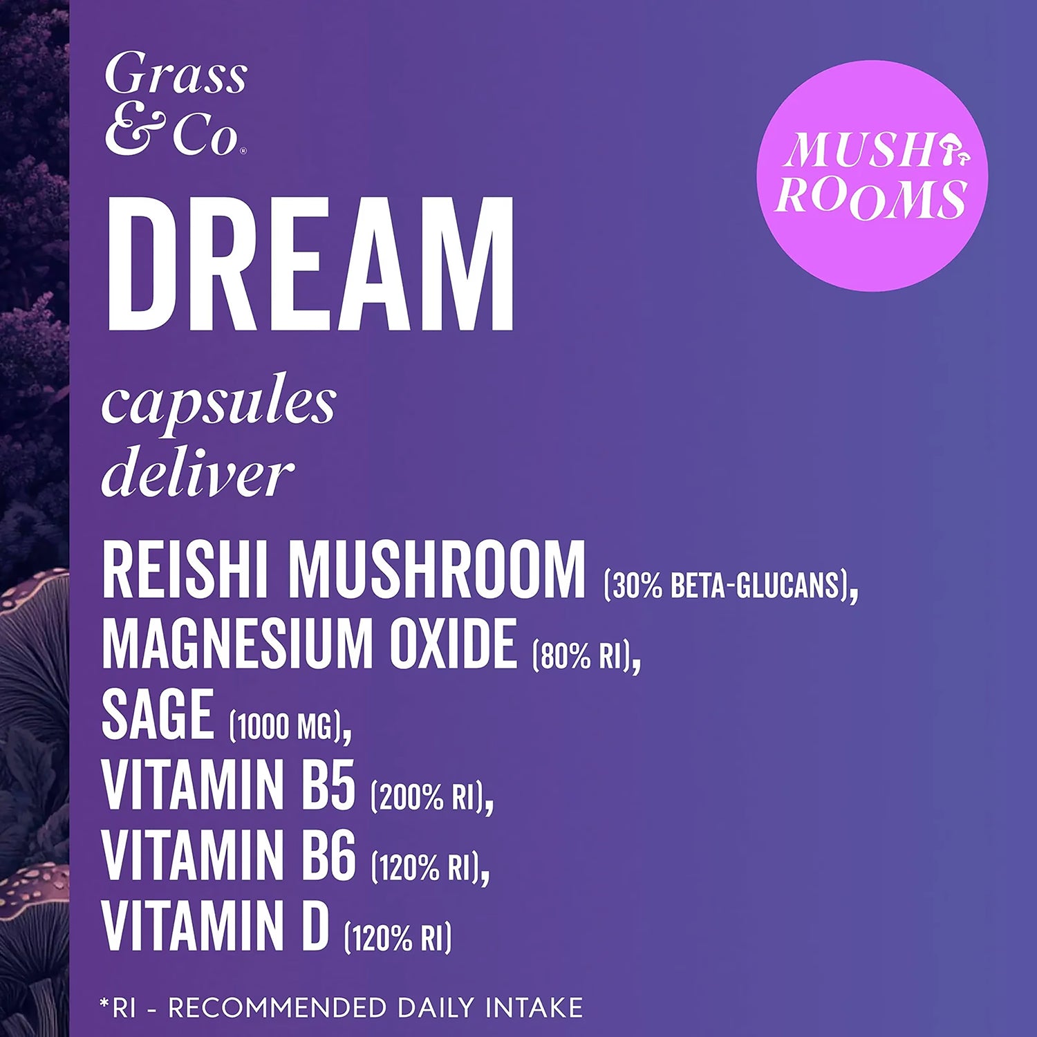 Reishi Mushroom Sleep Support with Magnesium and Sage 60 Vegan Capsules