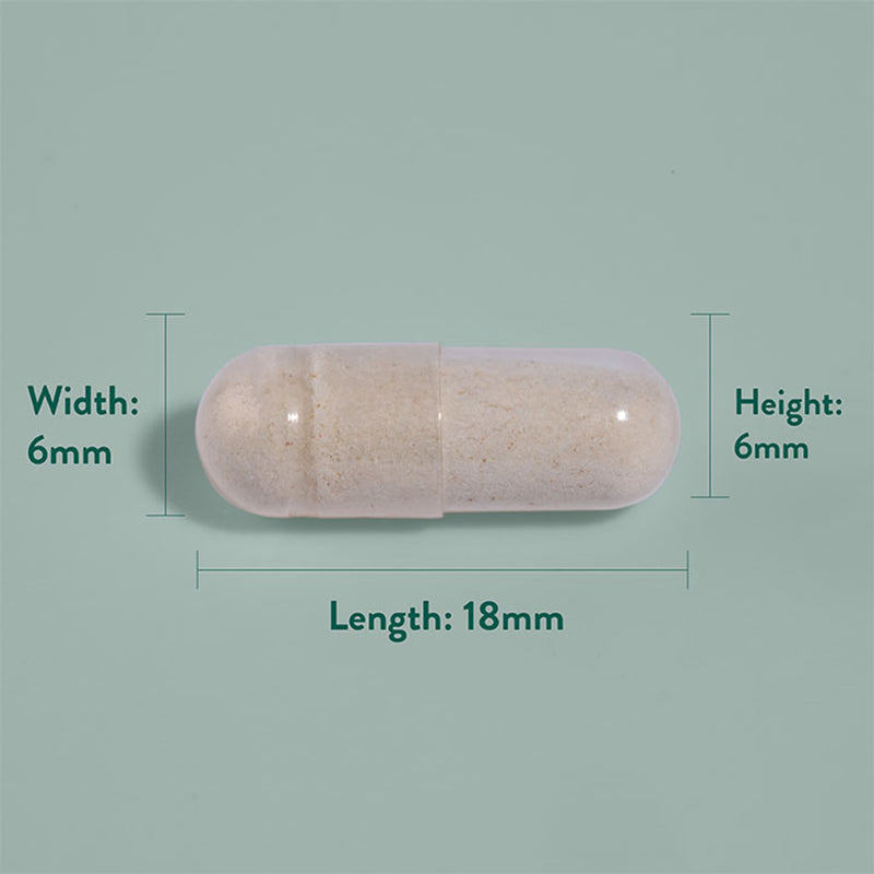 Holland Barrett Ginseng Complex 120 Tablets
