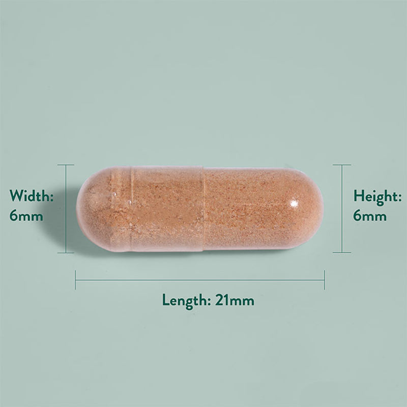 Holland Barrett Pycnogenol 60mg 30 Capsules