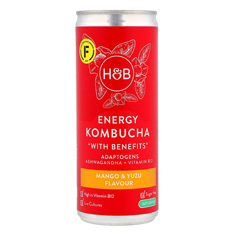 Holland Barrett Energy Kombucha 250ml