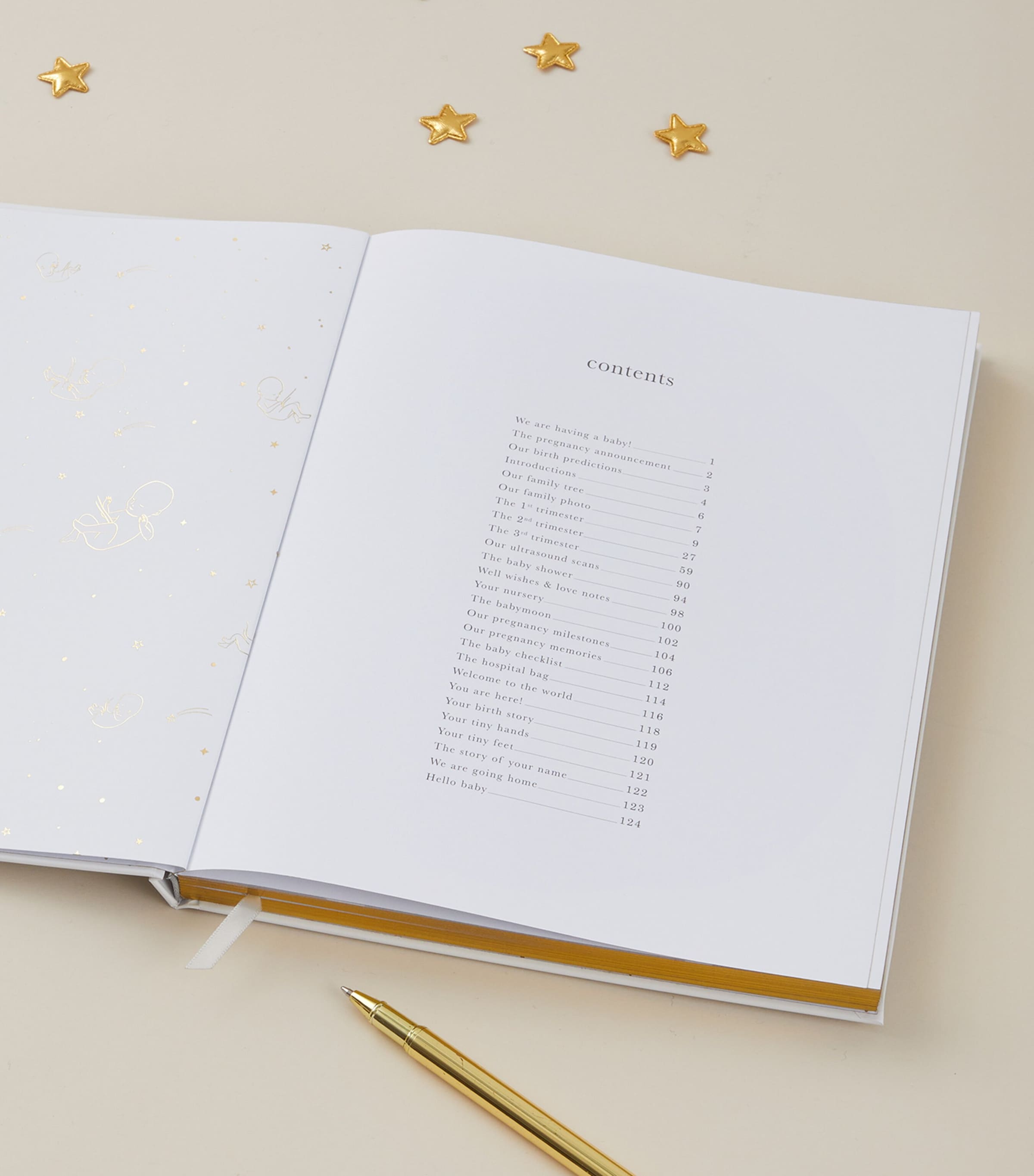 Blush and Gold Safari My Pregnancy Journal - British product