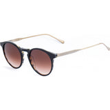Belstaff Brookland 48 S033 brown sunglasses (British brand)