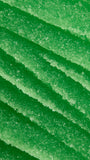 Lush French Kiss lip scrub in absinthe flavour (British brand)