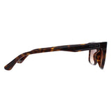 Police Arcade 2 SPLB40N brown men sunglasses, UK version