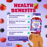 CapyChews adult multivitamin gummies low sugar mixed berry 150 count - British product