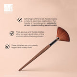 Dr Botanicals fan brush coffee ground synthetic fibres - British product