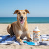 The Poop Shampoo mulberry-scented towel off pet shampoo 240ml, imported from the UK