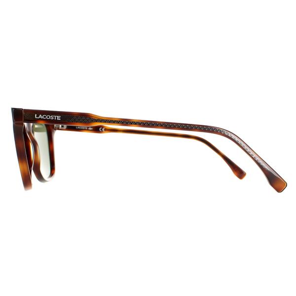 Lacoste L933S men sunglasses Dark Havana Green (British brand)