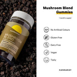 Cannaray mushroom blend gummies blackcurrant 30 count, imported from the UK