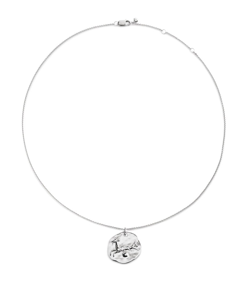 Monica Vinader Capricorn zodiac necklace sterling silver, imported from the UK
