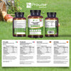 Prowise Healthcare apple cider vinegar with bio cultures capsules 1300mg, UK version