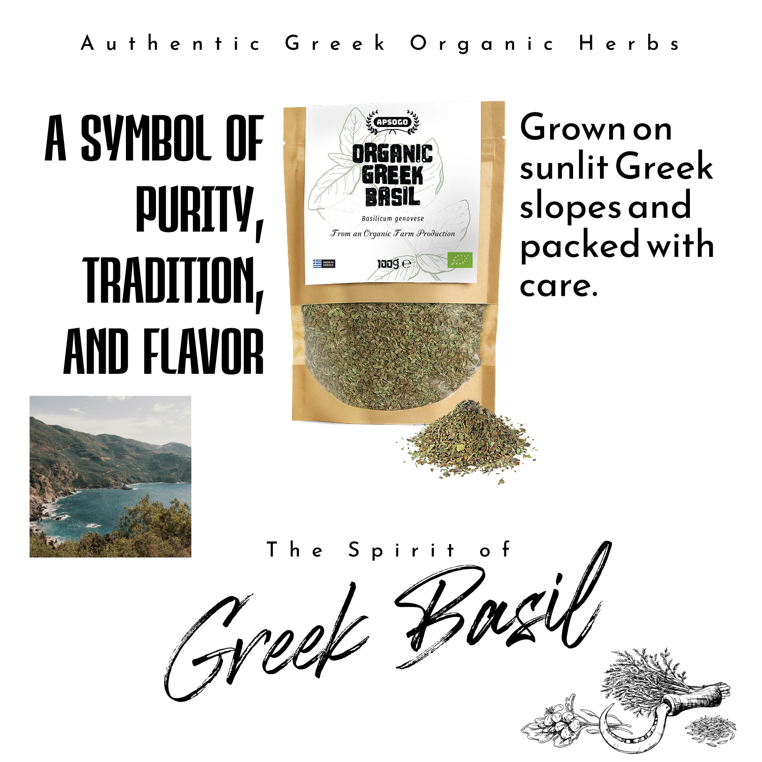 APSOGO organic dried basil 100g - British product