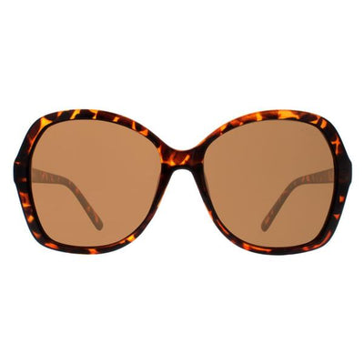 Superdrug Atum Aelius Brown Gradient Women Sunglasses- Buy online at McGrocer