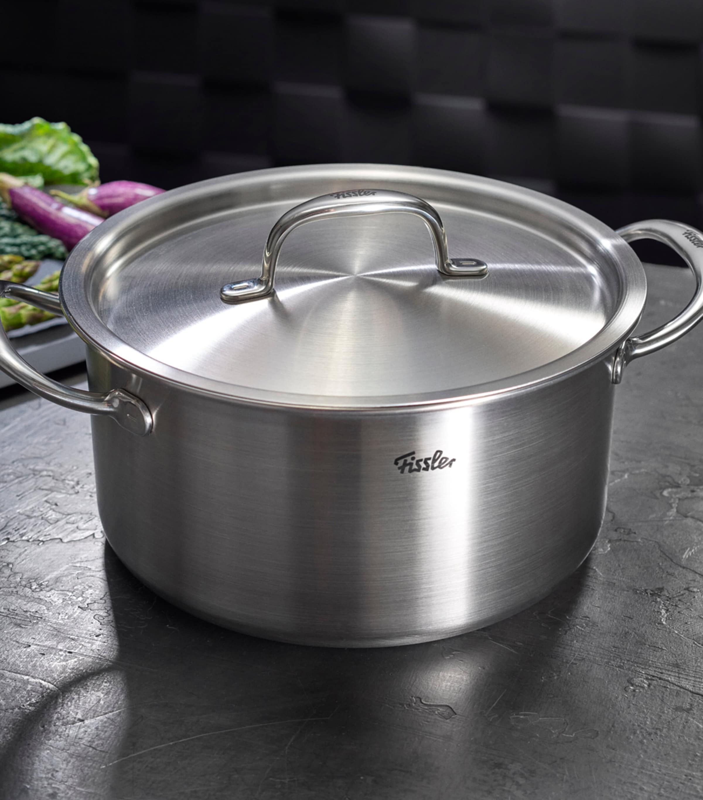 Fissler M5 Pro-Ply stew pot 24cm - British product