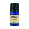 Holly Botanic Defence essential oil blend 5ml, imported from the UK