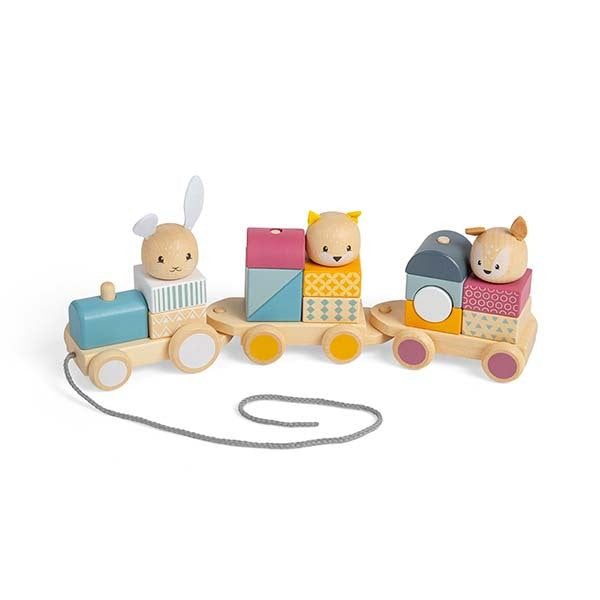 Bigjigs Toys Wooden Activity Pull Along Train GOODS Superdrug   