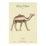 Lattafa Pride Art Of Nature EDP 100ml, UK version