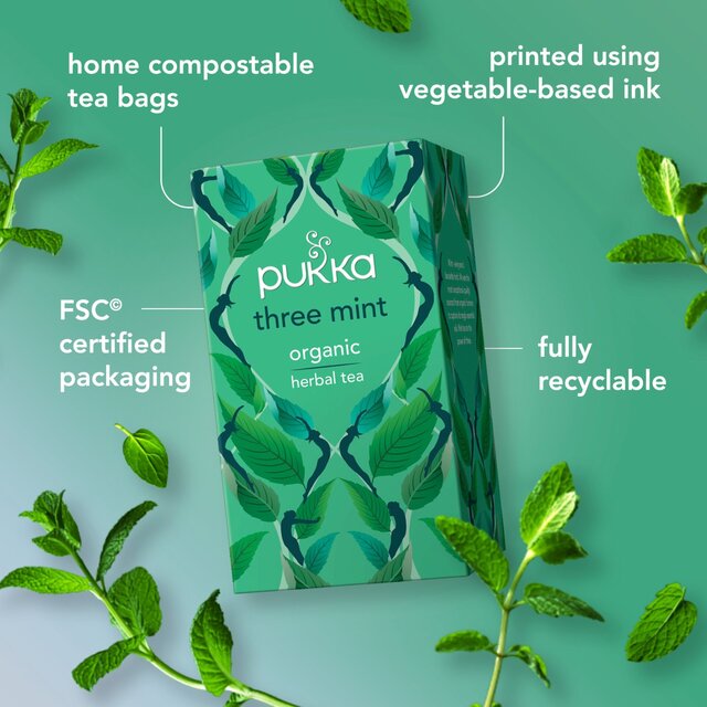 Pukka Organic Three Mint Tea 20 Home Compostable Herbal Tea Bags 32g   20 per pack