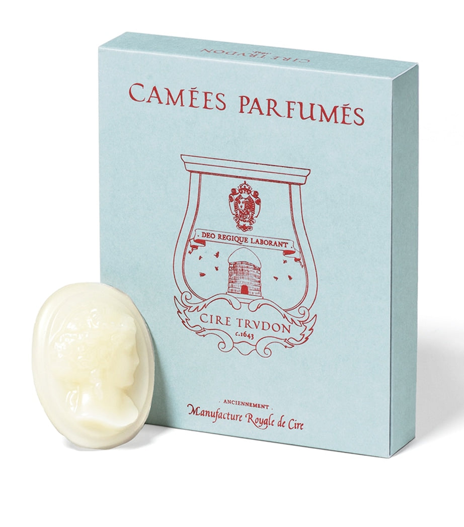 Trudon Abd El Kader wax melts (British brand)