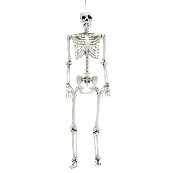 Livingandhome Halloween skeleton prop 160cm distressed white, UK version