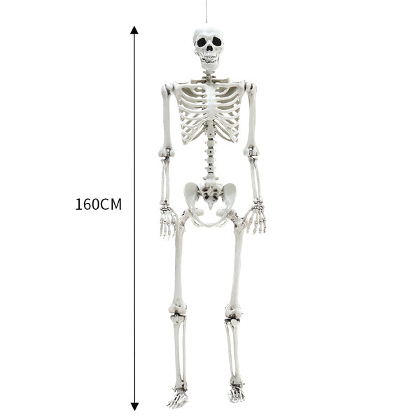 Livingandhome Halloween skeleton prop 160cm distressed white, UK version