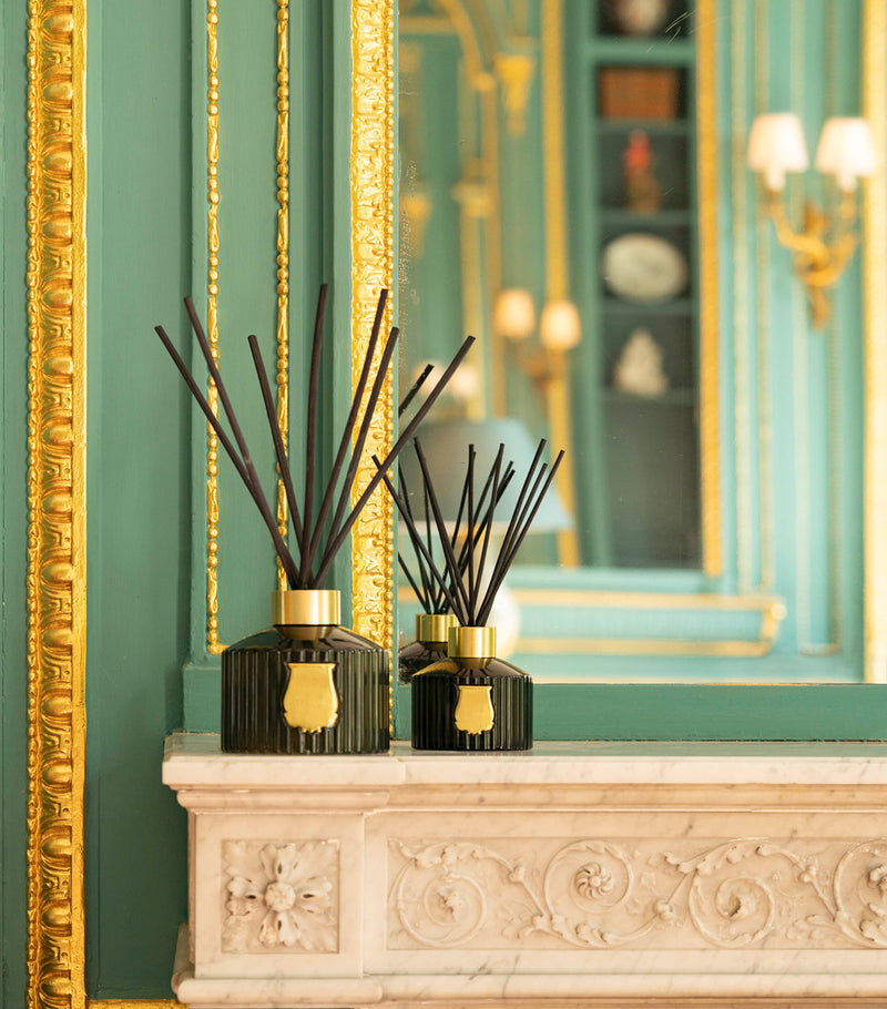 Trudon Ernesto reed diffuser 1L (British brand)