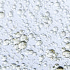 Miaroma Clove Pure Essential Oil 10ml