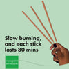 Anti-Mosquito Insect Repellent Incense Sticks 10 Pack