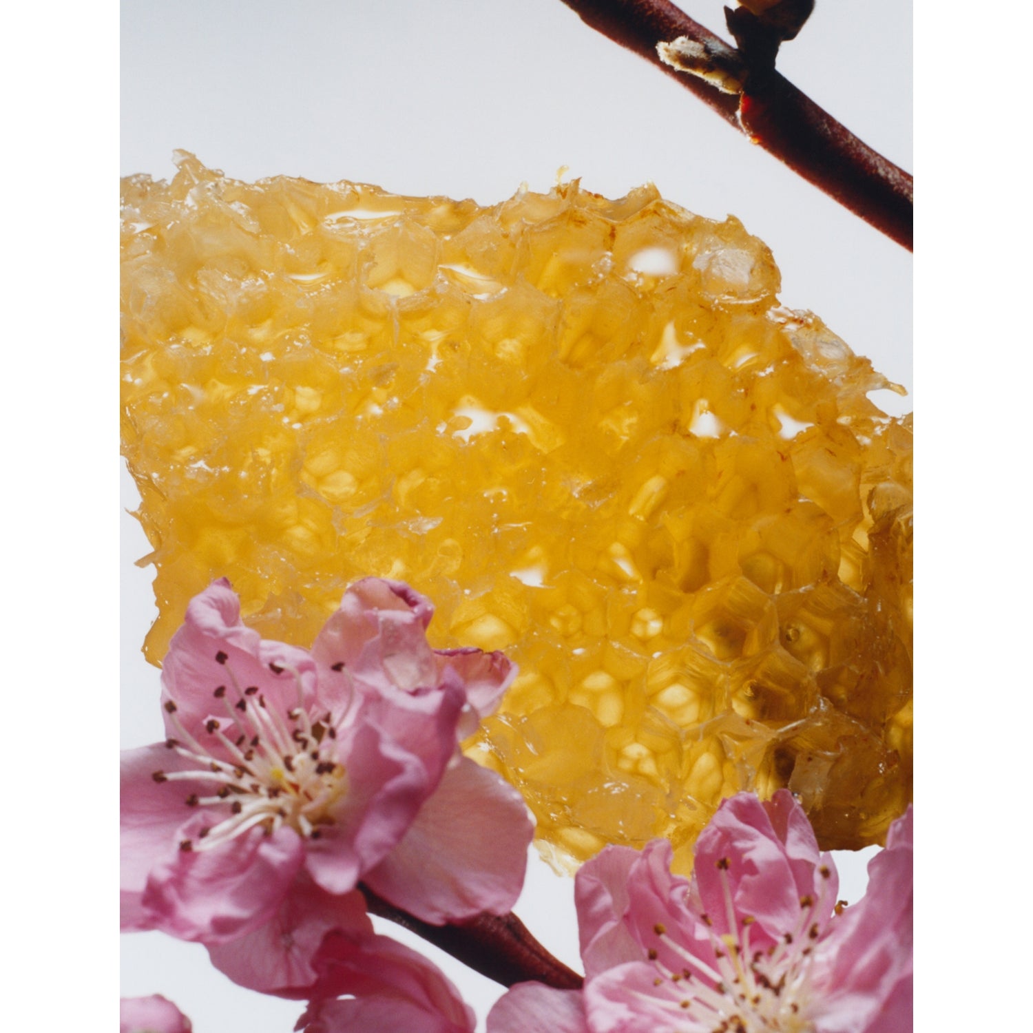 Jo Malone London Nectarine Blossom and Honey candle 200g - British product