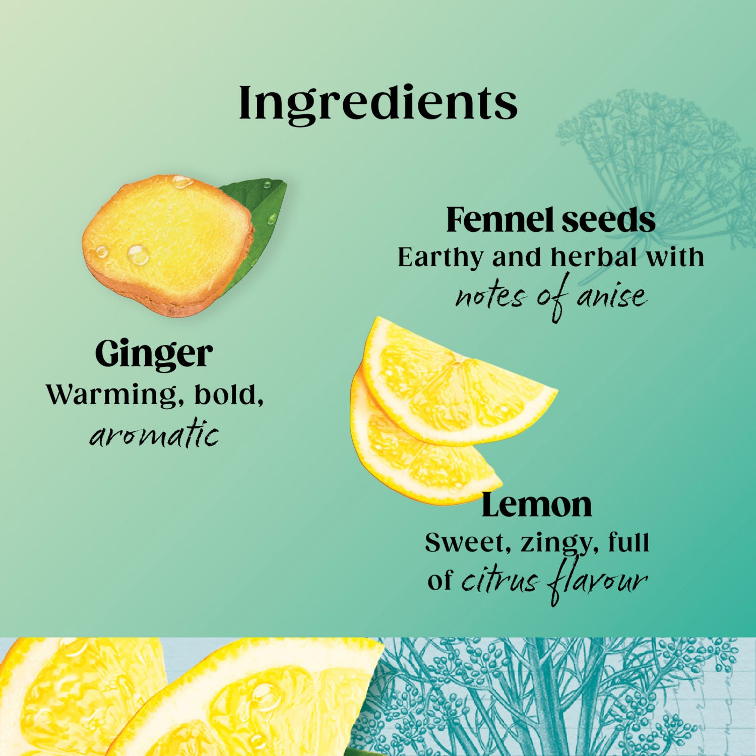 Twinings Detox Lemon Ginger herbal tea with burdock root and fennel 40g (British brand)