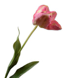Silk-Ka artificial tulip flower (British brand)