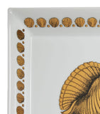 Fornasetti Square Giro di Conchiglie Plate 20cm x 20cm - British product
