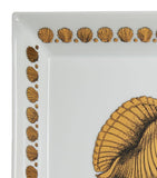 Fornasetti Square Giro di Conchiglie Plate 20cm x 20cm - British product