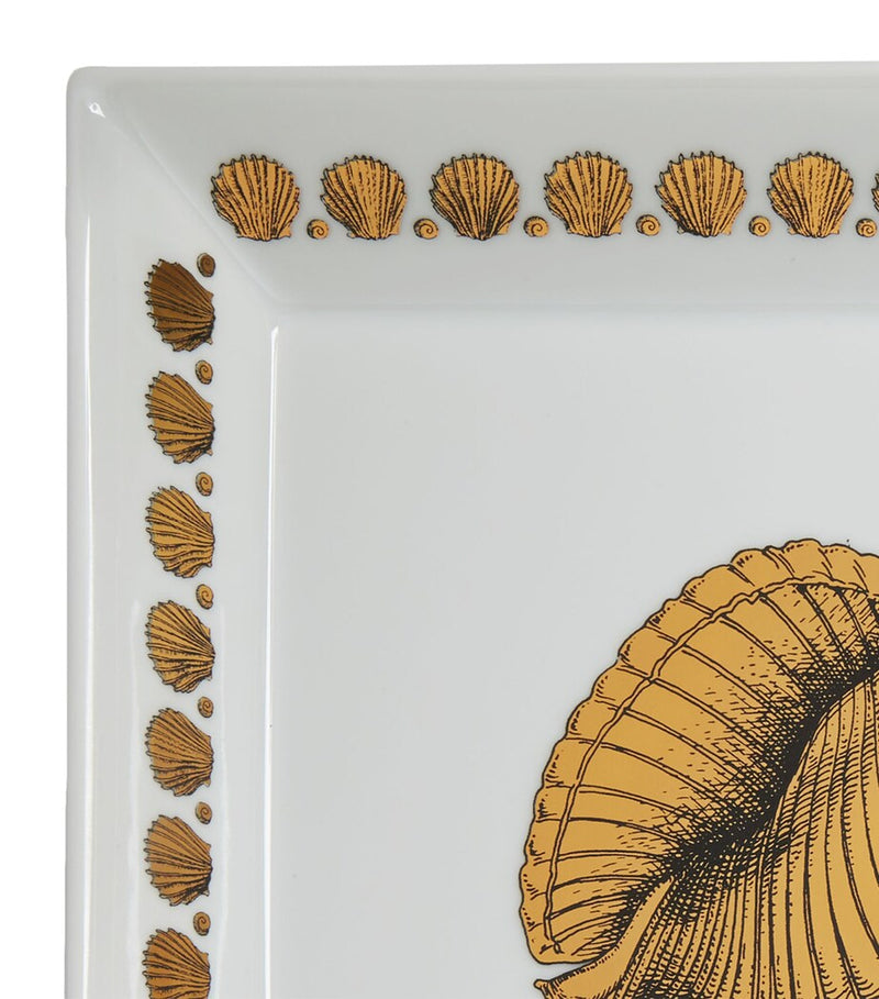 Fornasetti Square Giro di Conchiglie Plate 20cm x 20cm - British product