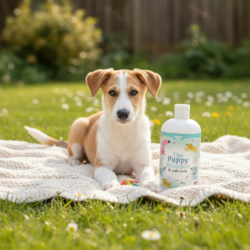 The Puppy Towel Off pet shampoo 500ml (British brand)