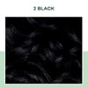 Clairol Natural Instincts semi-permanent hair dye 2 Black, imported from the UK