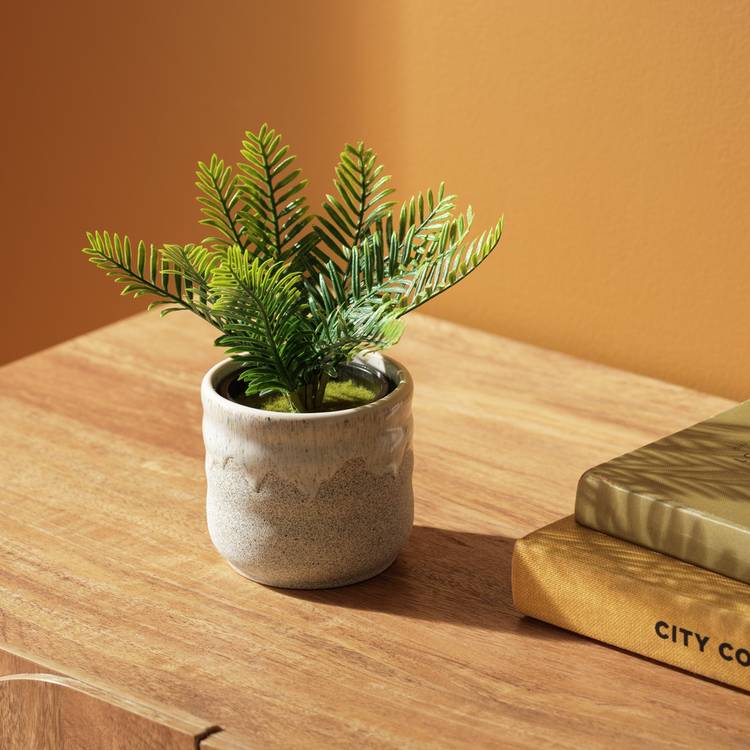 Habitat small fern artificial plant 18cm (British brand)